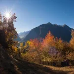 In Neustift Near Stubai Glacier Apartment *